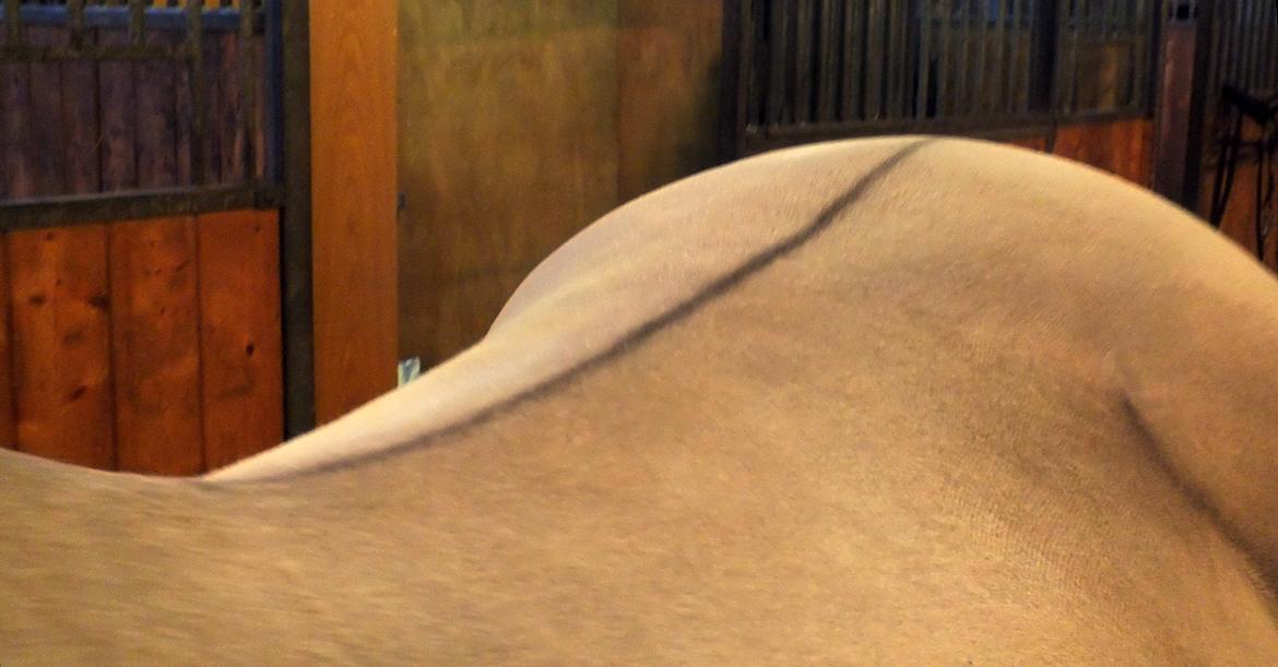 Hulder - på alle kanter og led billede 2