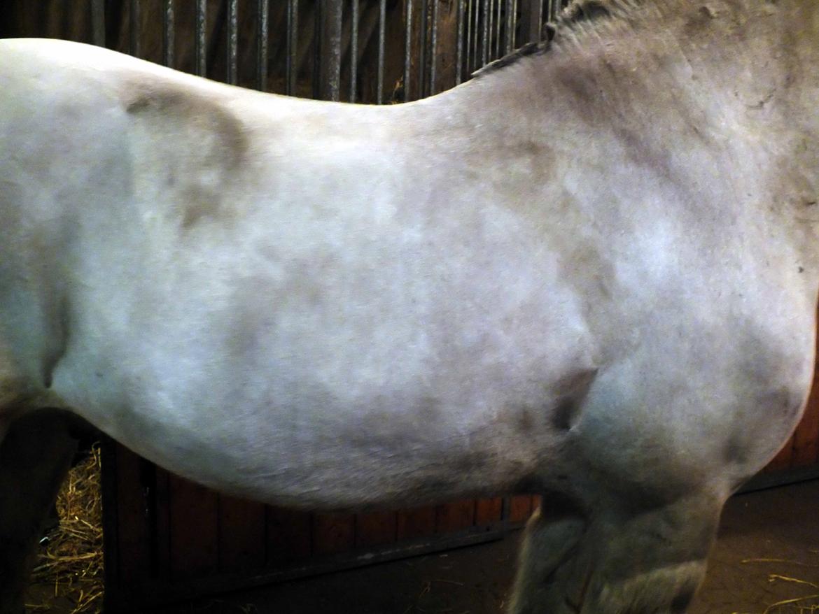 Hulder - på alle kanter og led billede 5