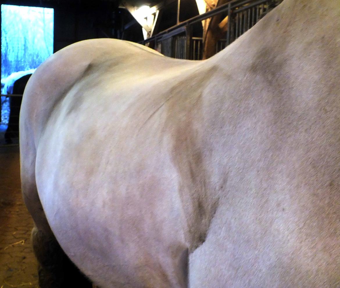 Hulder - på alle kanter og led billede 4