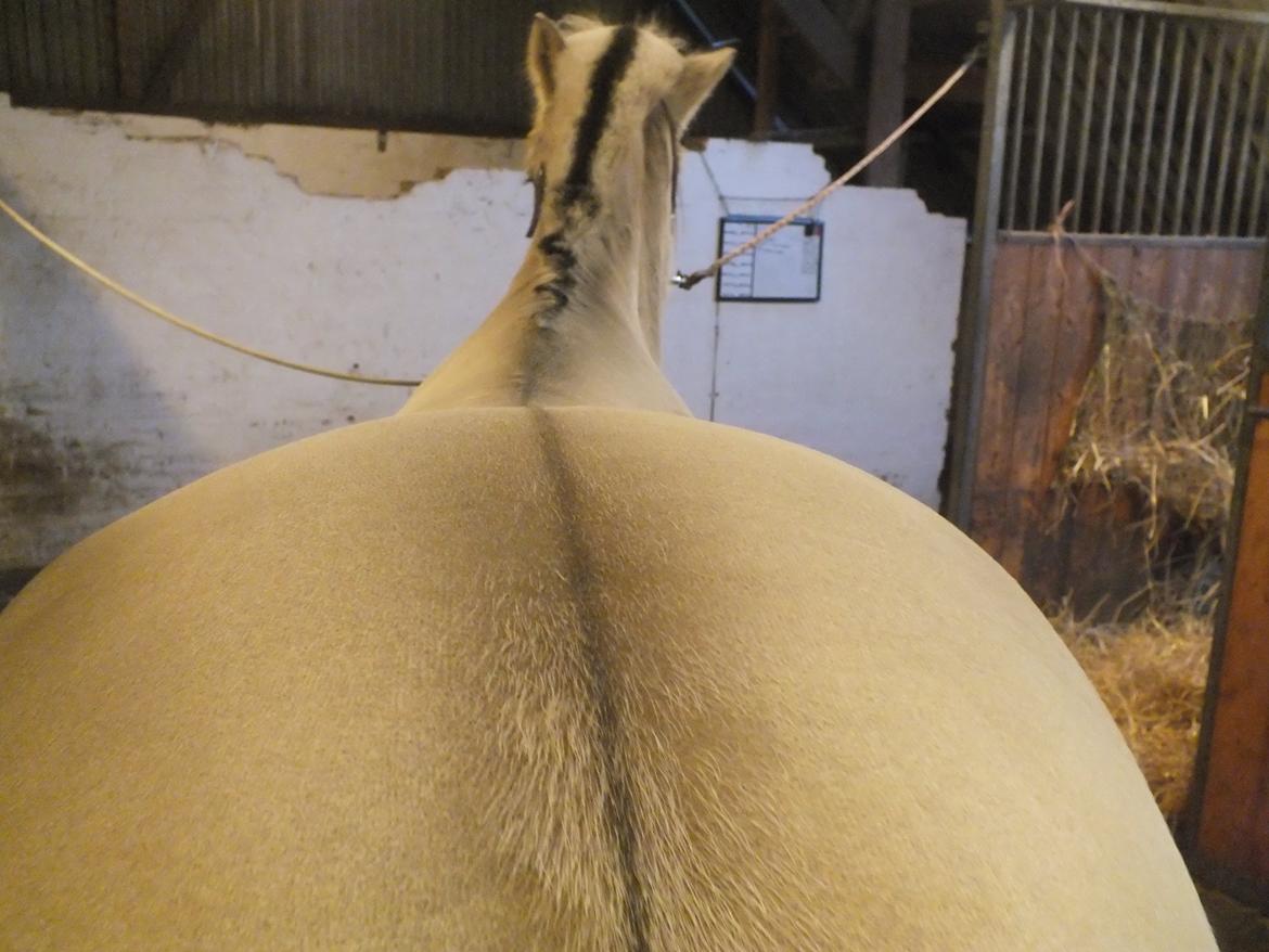 Hulder - på alle kanter og led billede 6