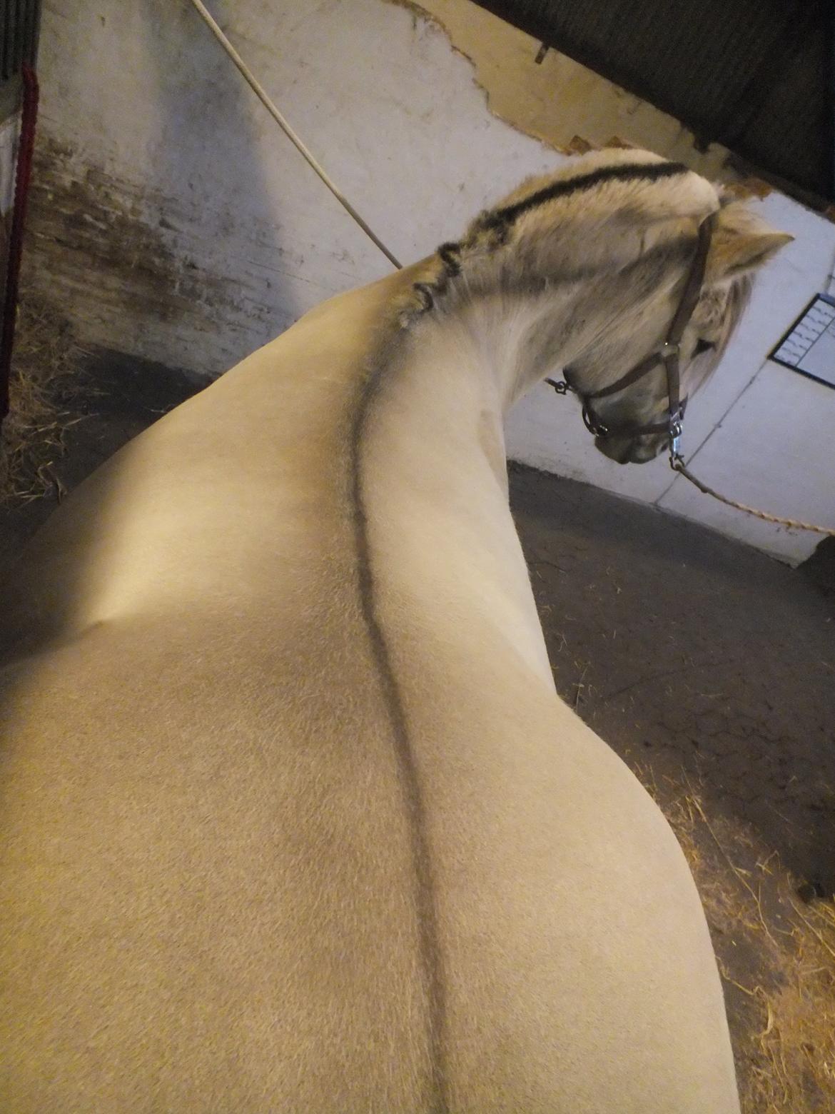 Hulder - på alle kanter og led billede 9