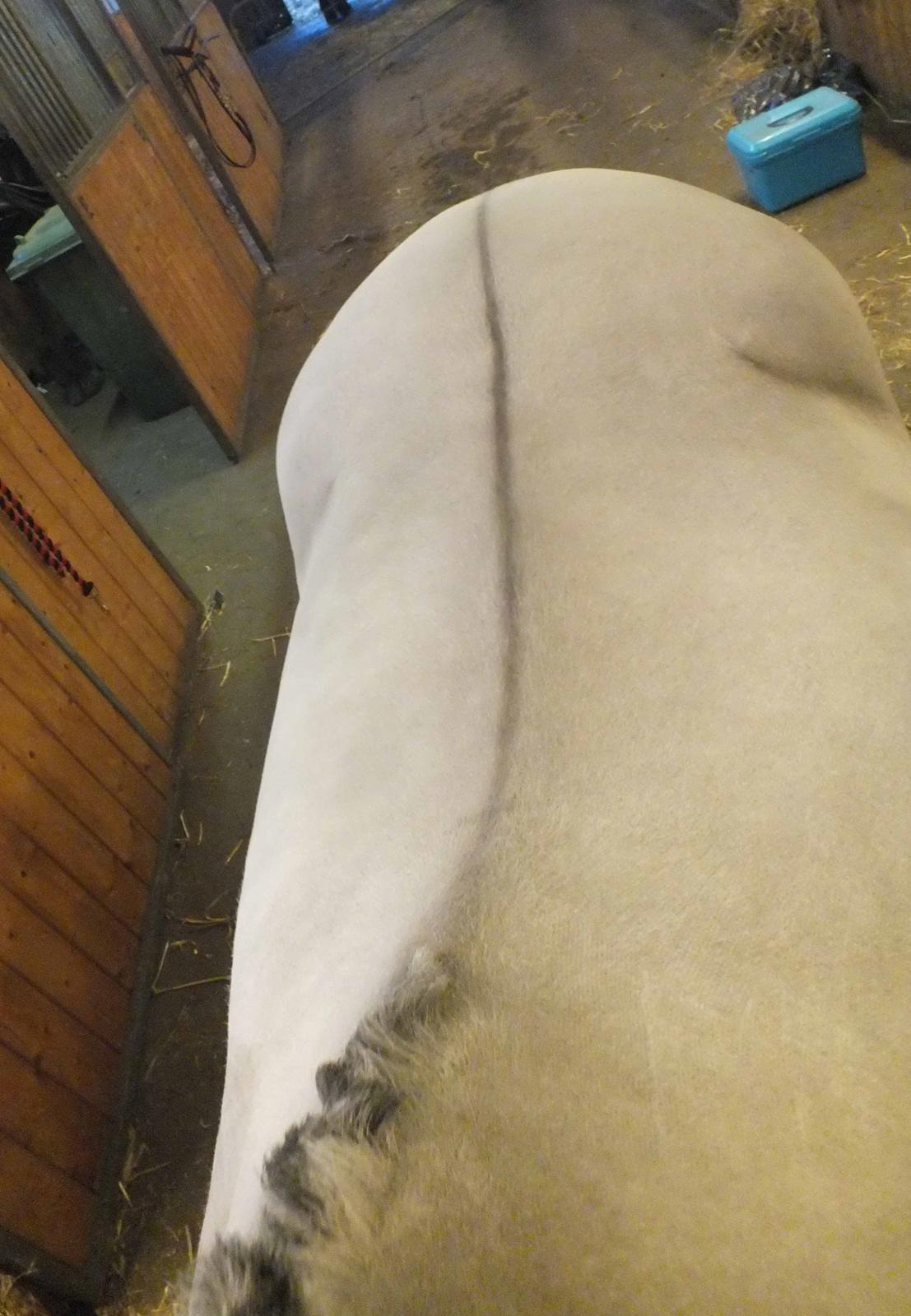 Hulder - på alle kanter og led billede 8