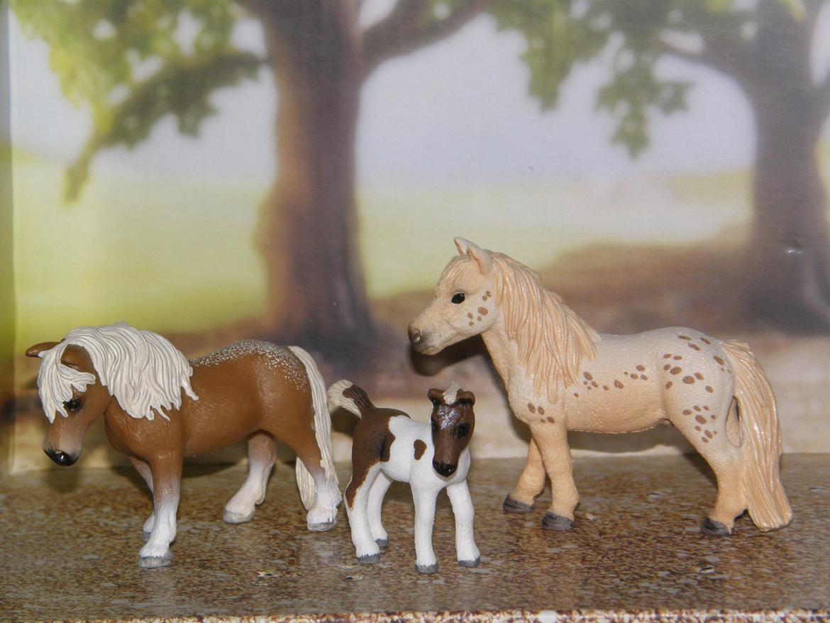 Mine Schleich Dyr - Navn: Mon Chérie. Race: Falabella. Køn: Hoppe. Alder: 9 år. Navn: Armée. Race: Falabella. Køn: Vallak. Alder: 11 år Navn: Hindbærgårdens La Petite. Race: Falabella. Køn: Hoppe. Alder: 1 måned. Stamtavle: Mor: Mon Chérie. Far: Armée billede 173