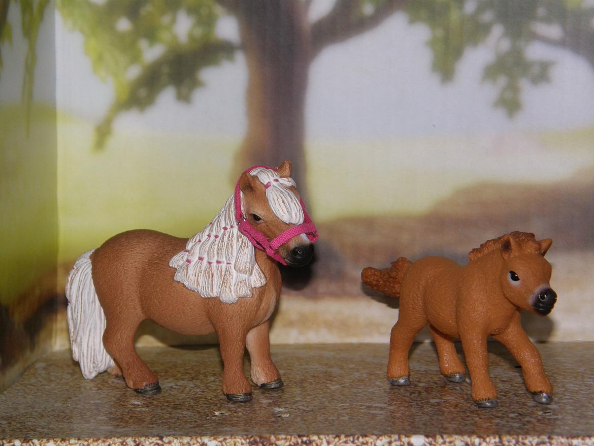 Mine Schleich Dyr - Navn: Agrees. Race: Miniature. Køn: Hoppe. Alder: 7 år. Nacn: Hindbærgårdens Drifter. Race: Miniature. Køn: Hingst. Alder: 2 måneder. Stamtavle: Mor: Agrees. Far: Diablo billede 175