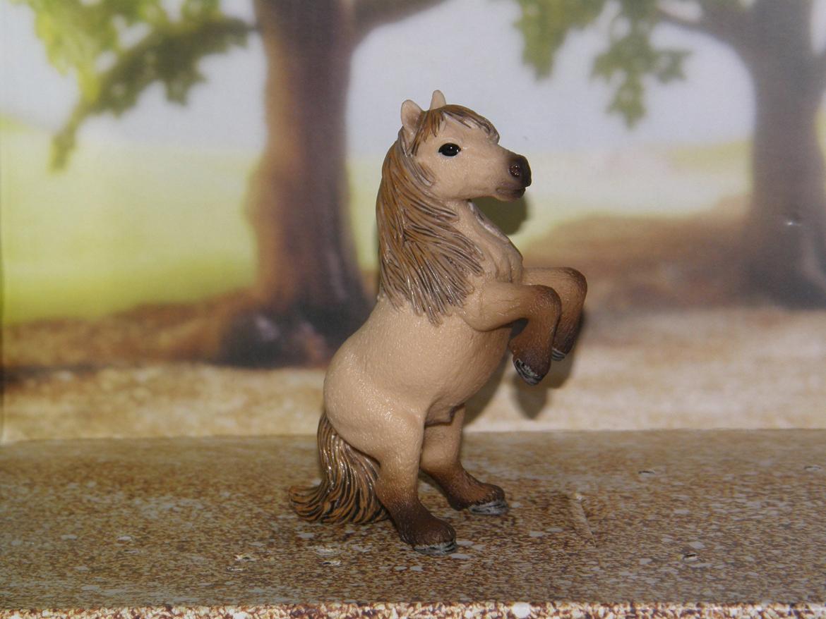 Mine Schleich Dyr - Navn: Diablo. Race: Miniature. Køn: Hingst. Alder: 6 år billede 174
