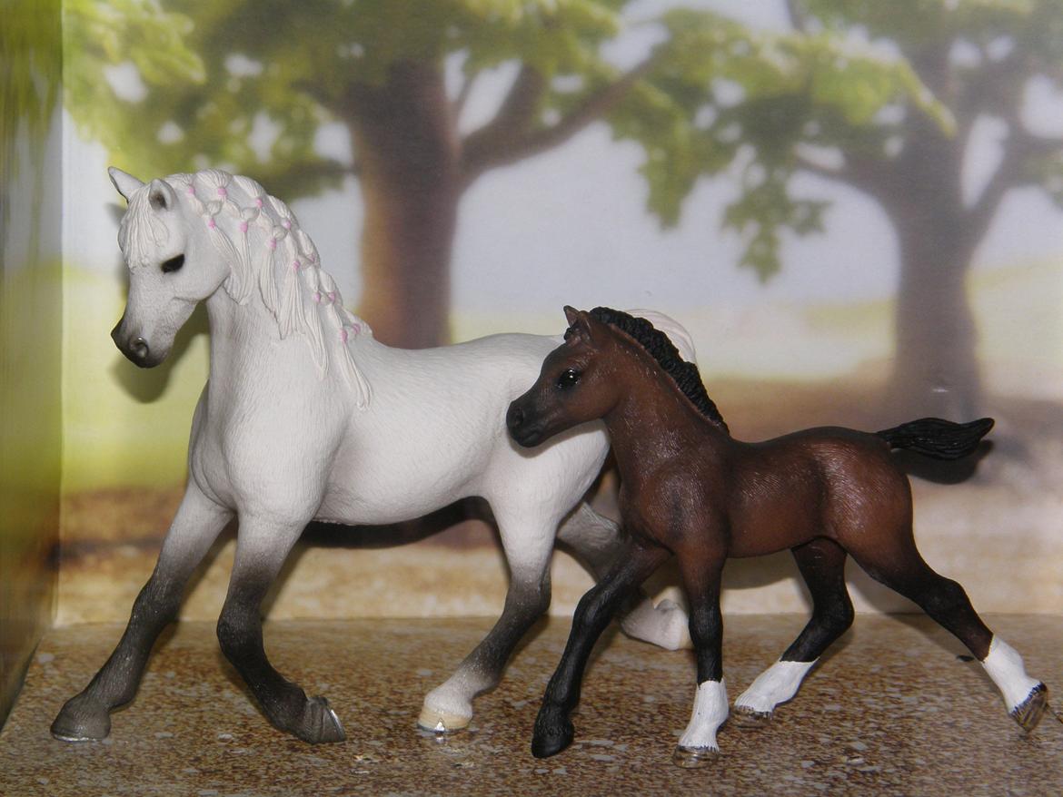 Mine Schleich Dyr - Navn: Jatéme. Race: Araber. Køn: Hoppe. Alder: 15 år. Navn: Hindbærgårdens Santos. Race: Araber. Køn: Hingst. Alder: 3 mdr. Stamtavle: Mor: Jatéme. Far: Sheik billede 176