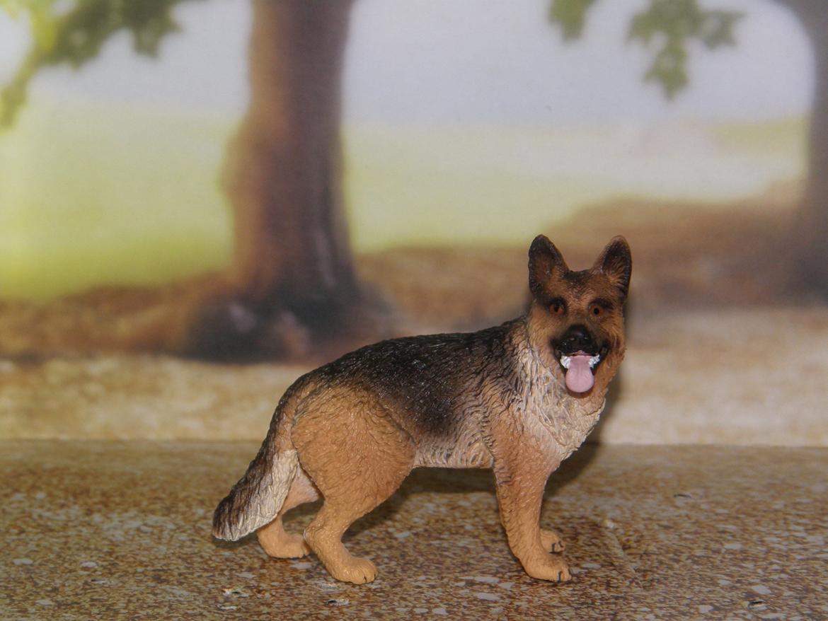 Mine Schleich Dyr - Navn: Dimma Race: Shæferhund Køn: Tæve Alder: 3 år billede 177