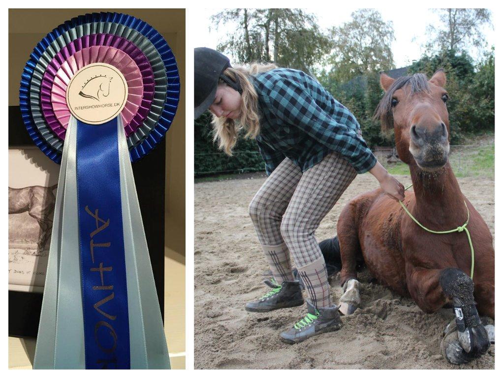 Alle mine rosetter ;) -  Februar 2015, Klasse 07 // "Hvis min hest kunne tale" - 8. plads ud af 10  billedetekst: Føj for den da! Lad da være med at prutte mig i hovedet AD AD AD lad mig komme væk! Kommentar fra dommer: Uha Kit Kat ligner en der har travlt
med at komme væk fra rytterens
ende.
Måske er der noget om de prutter?
Sjovt er det hvertfald, og selvom
billedet ikke er teknisk godt, så er
motivet der alligevel. Tillykke med 8. pladsen. billede 5