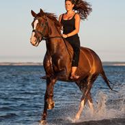 Et par af mine billeder