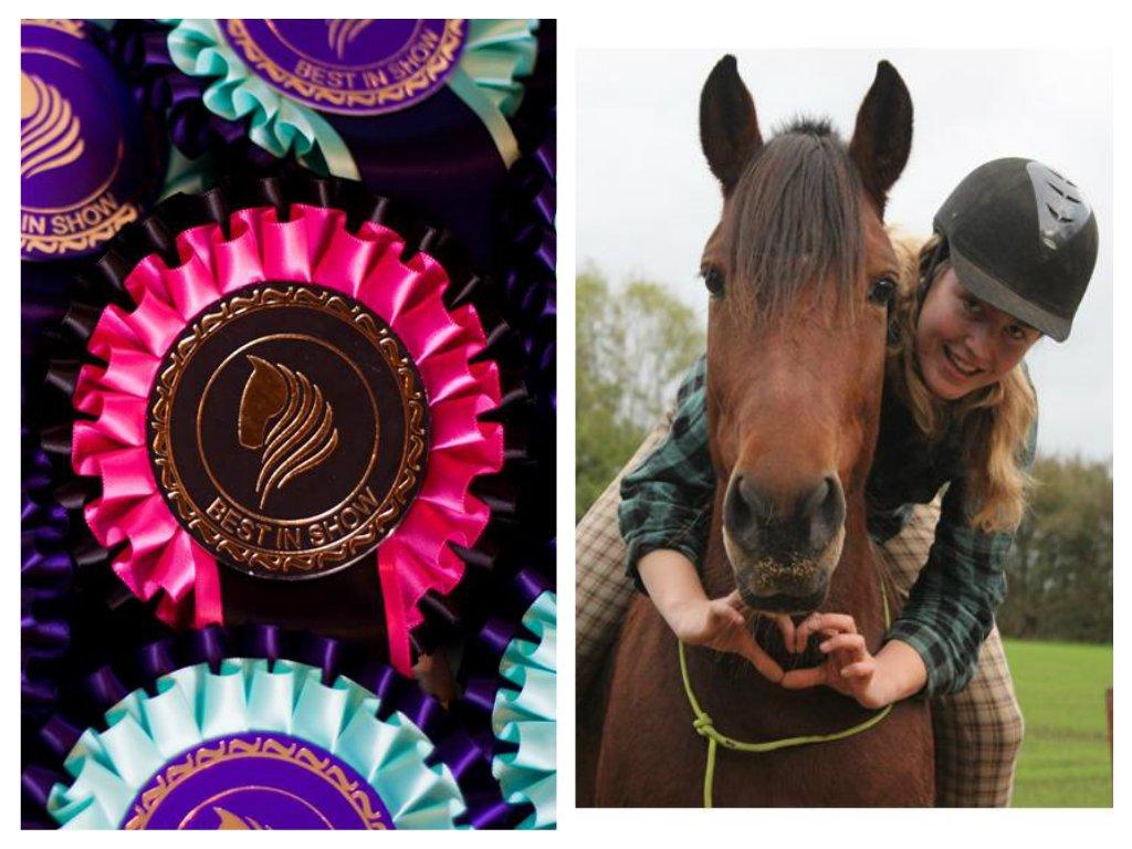 Alle mine rosetter ;) -  Best in Show Marts 2015, 8. Plads ud 10  "My horse and me"Kommentar: Hestens udtryk er slet ikke til at stå for på dette billede, virkelig kær! Ørene er fremad, der smiles og motivet er godt placeret. Det også lidt synd at horisonten hælder. billede 7