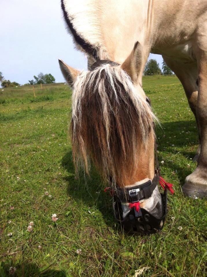 Gør det selv greenguard grime billede 6