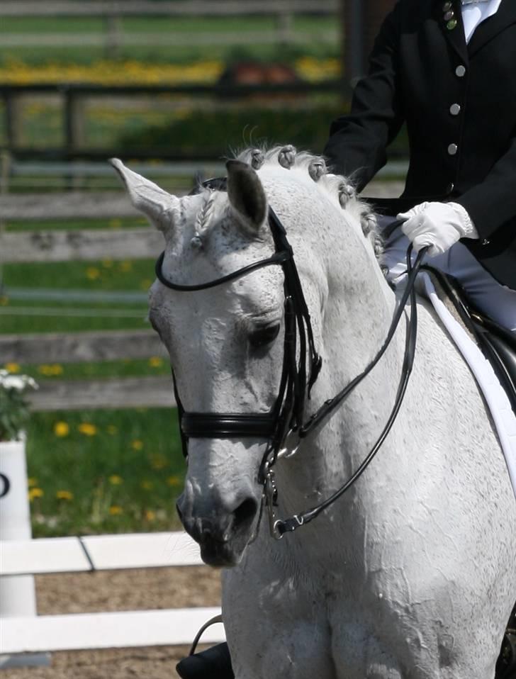 Flette-guide til rosenknopper - Færdigt resultat!

Husk: ØVELSE GØR MESTER! billede 20