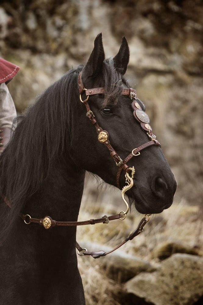 "The Last Fairytale" - by Sipo billede 5