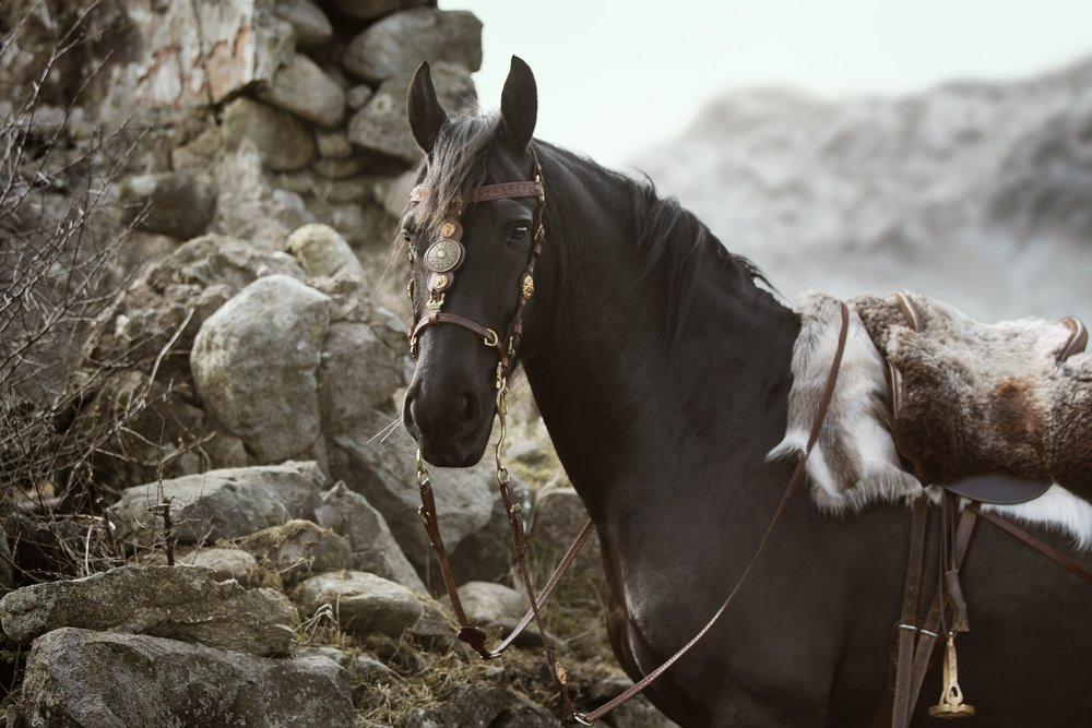 "The Last Fairytale" - by Sipo billede 13