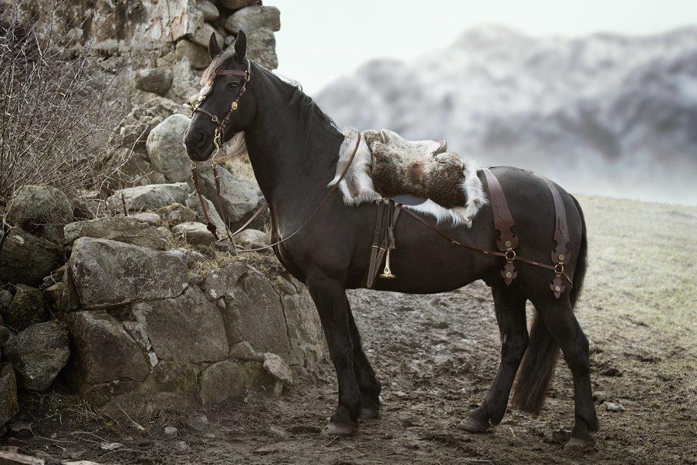 "The Last Fairytale" - by Sipo billede 14