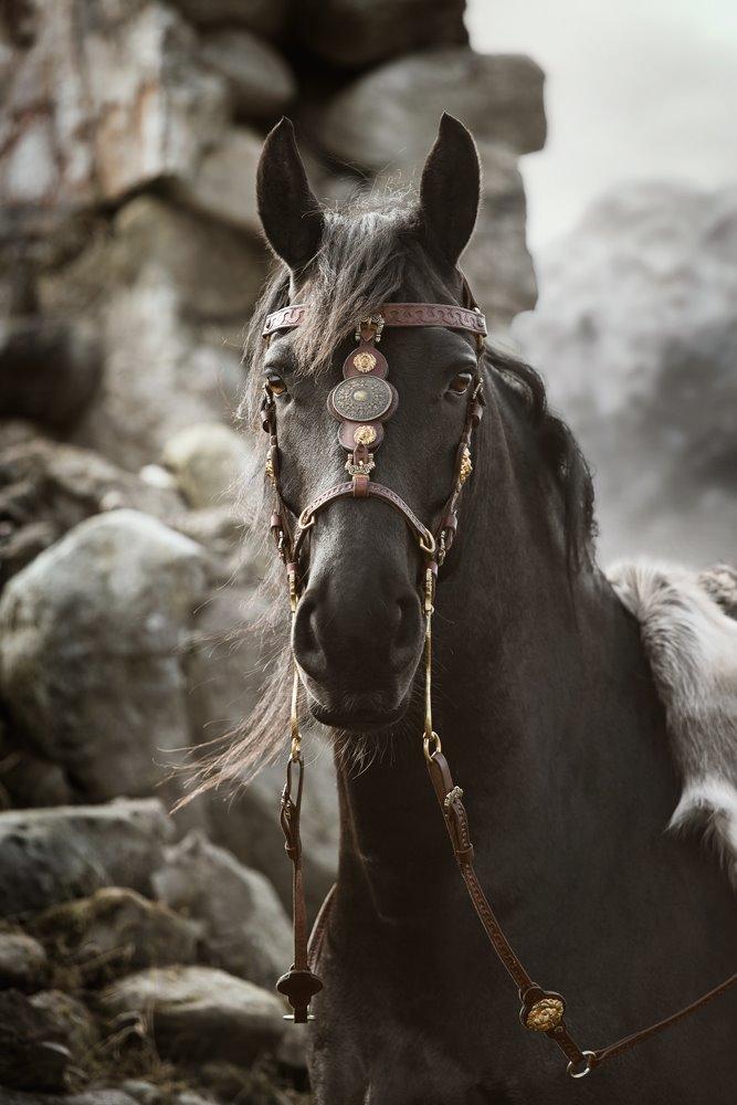 "The Last Fairytale" - by Sipo billede 15