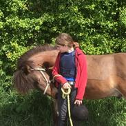 Farvel Bersi/mus ??????