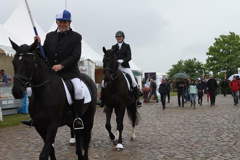 Valdemar slot opvisning 2015 billede 1