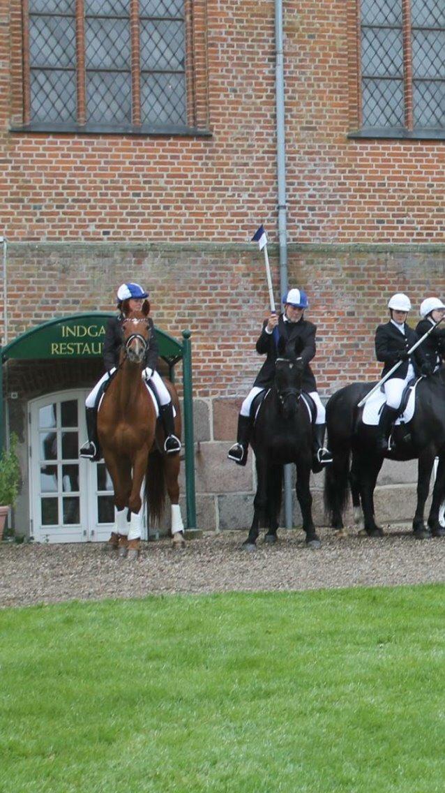 Valdemar slot opvisning 2015 billede 2