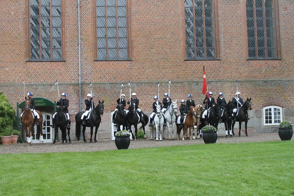 Valdemar slot opvisning 2015 billede 3