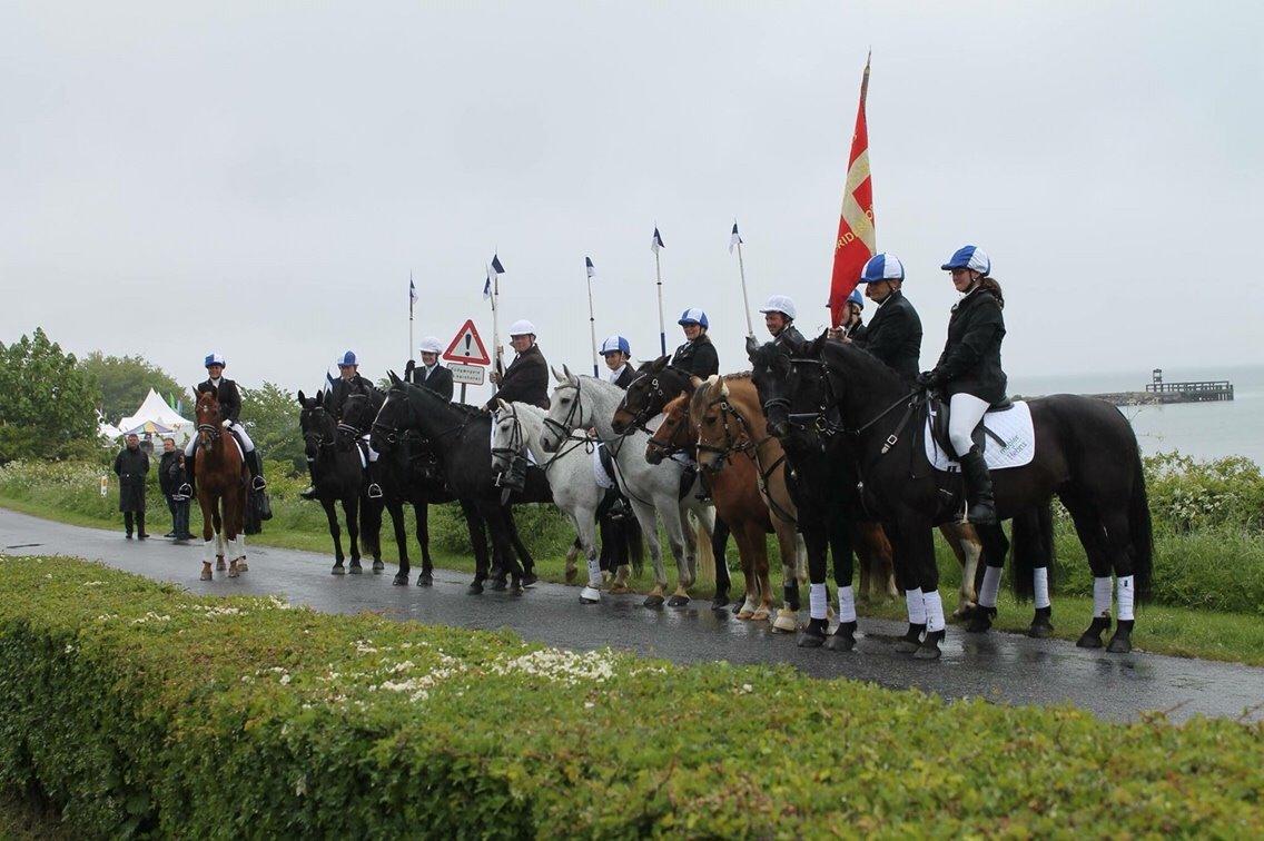 Valdemar slot opvisning 2015 billede 4