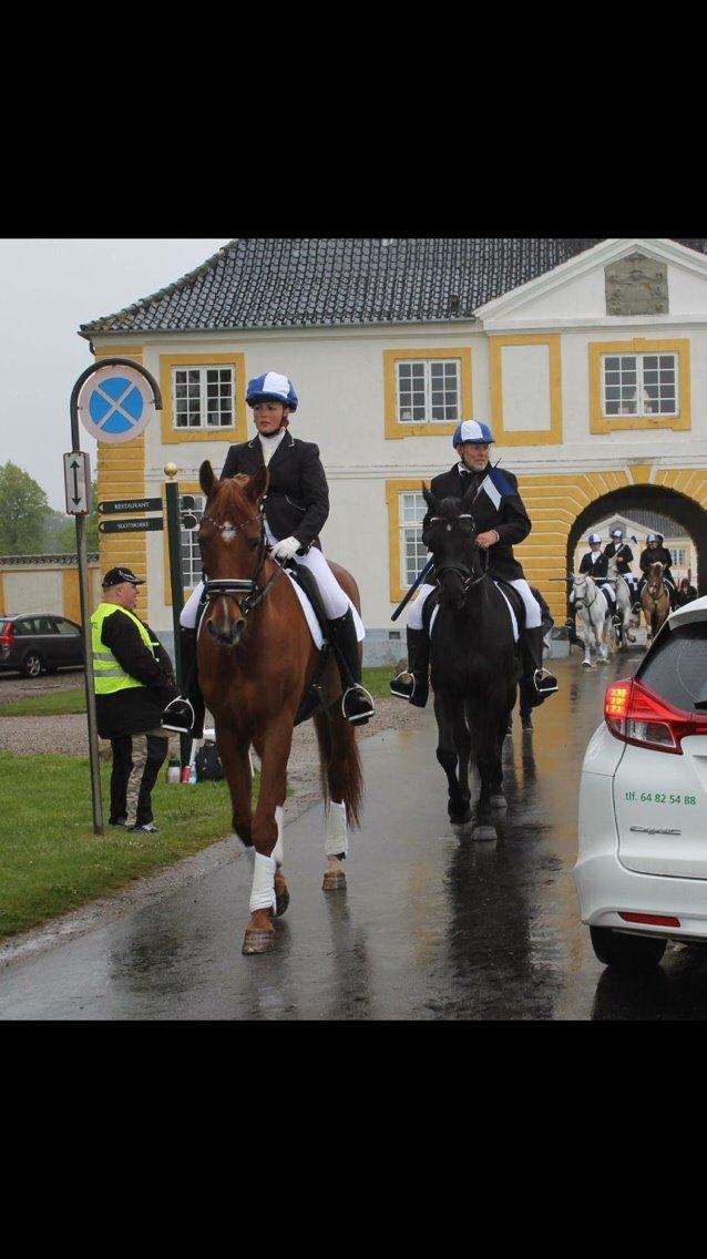 Valdemar slot opvisning 2015 billede 5