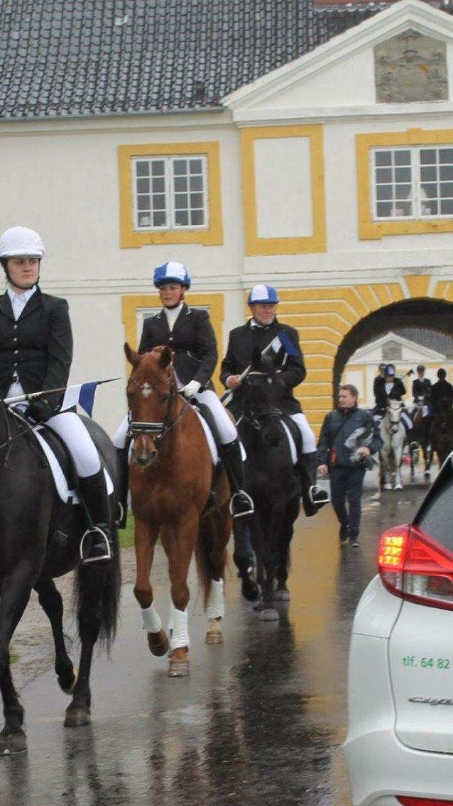 Valdemar slot opvisning 2015 billede 6