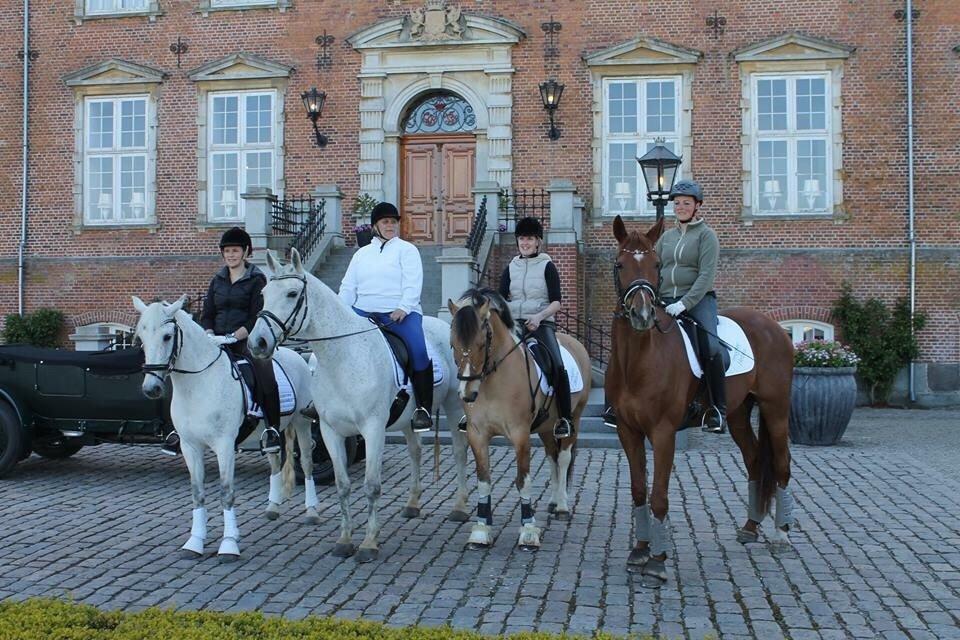 Valdemar slot opvisning 2015 billede 8