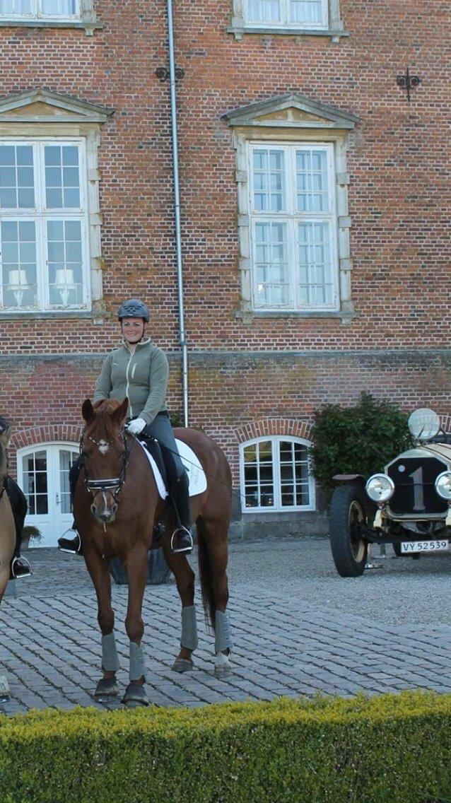 Valdemar slot opvisning 2015 billede 9