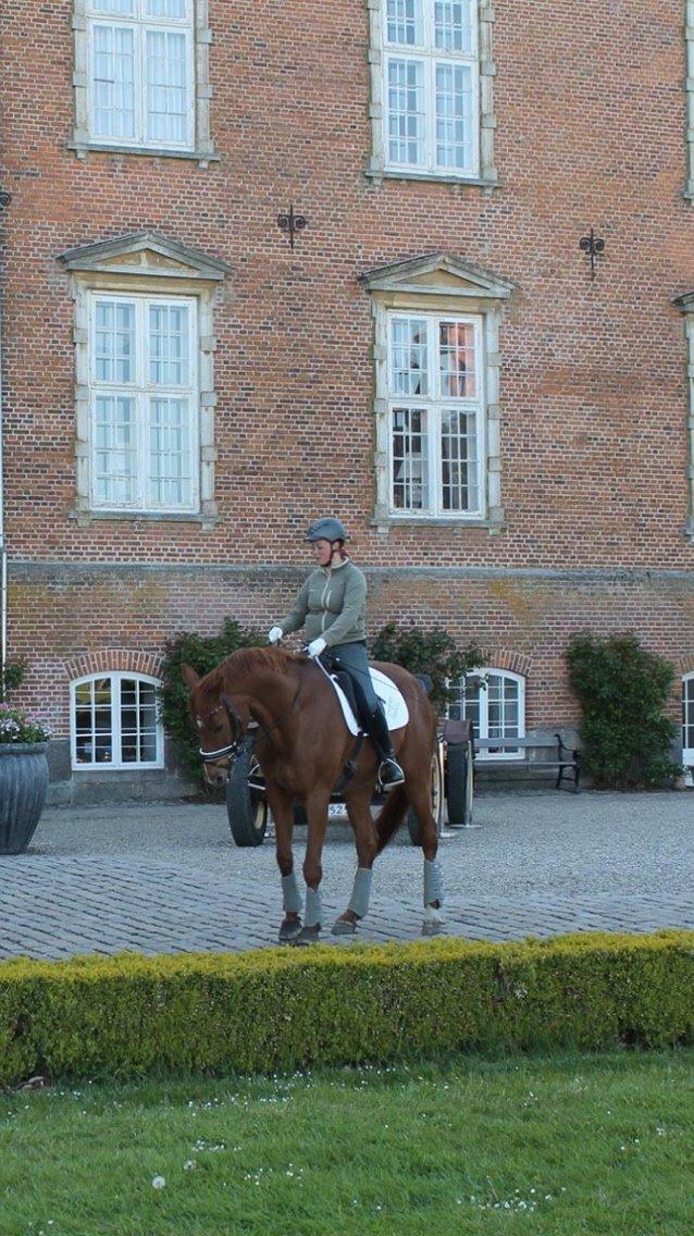 Valdemar slot opvisning 2015 billede 11