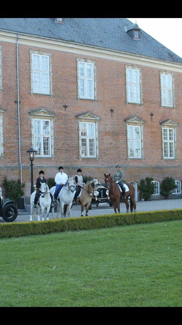 Valdemar slot opvisning 2015 billede 12