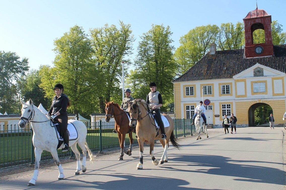 Valdemar slot opvisning 2015 billede 13