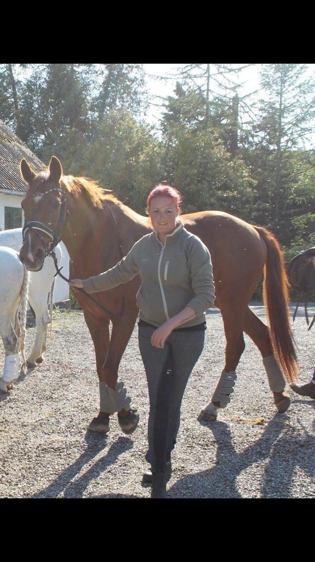 Valdemar slot opvisning 2015 billede 16