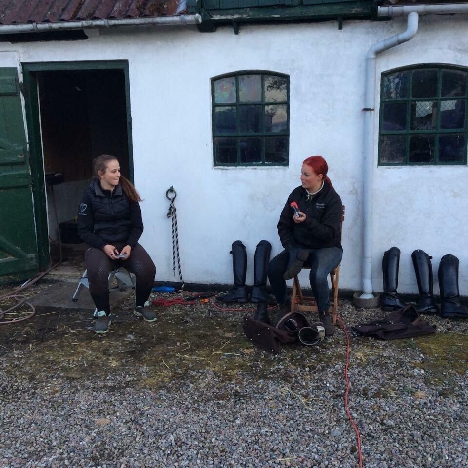 Valdemar slot opvisning 2015 billede 18