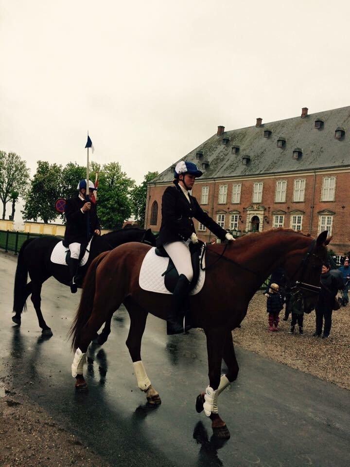 Valdemar slot opvisning 2015 billede 19