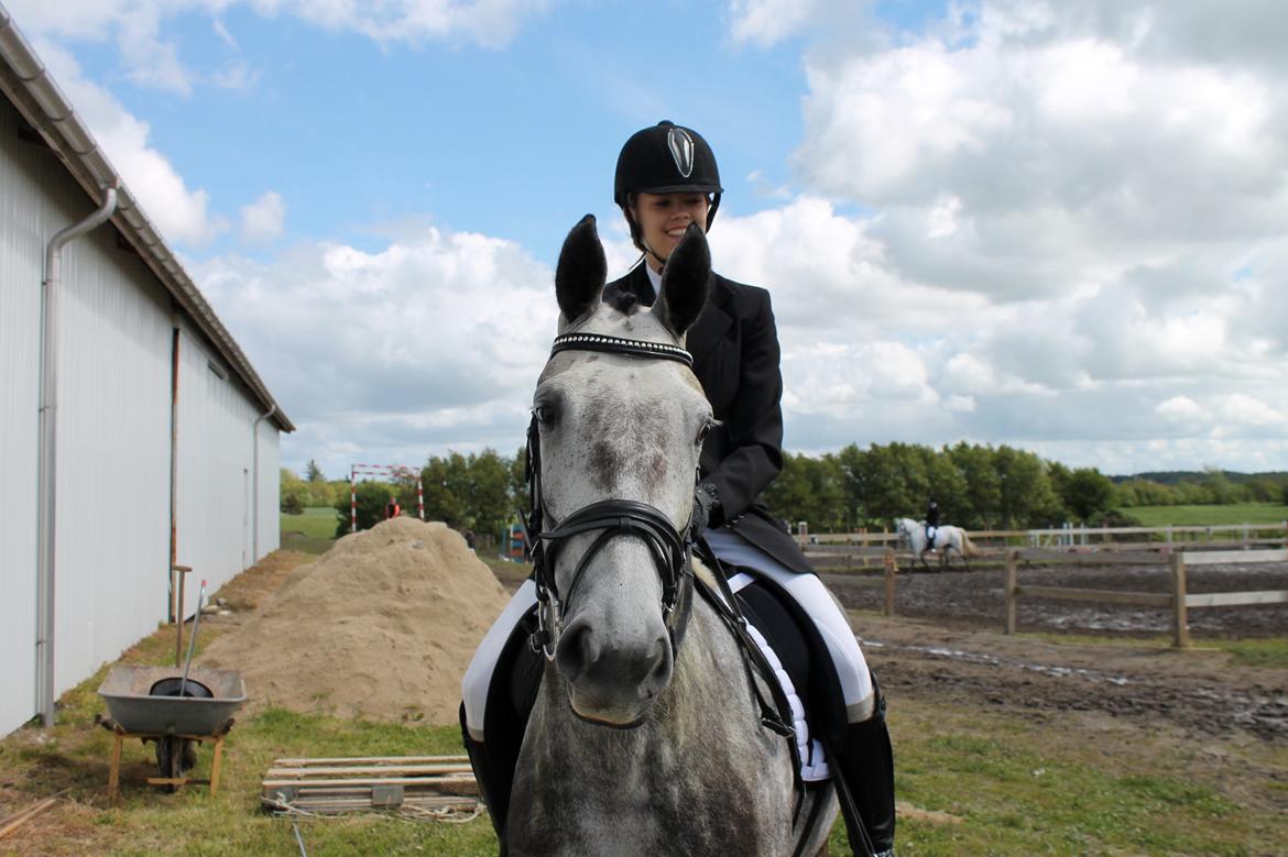 Grøvangs Jocelynn og Anne Frederiksen LB dressur | 30/05-2015 billede 12