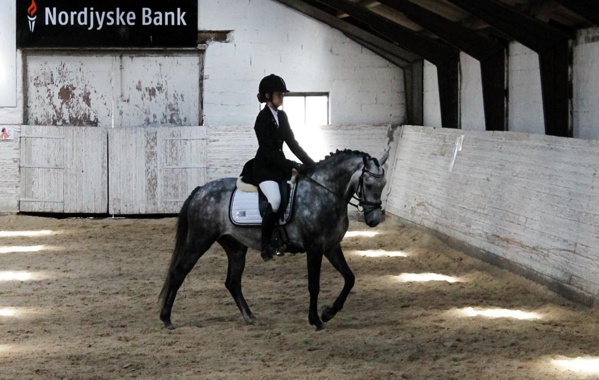 Grøvangs Jocelynn og Anne Frederiksen LB dressur | 30/05-2015 billede 18