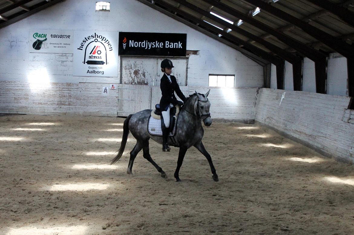 Grøvangs Jocelynn og Anne Frederiksen LB dressur | 30/05-2015 billede 21