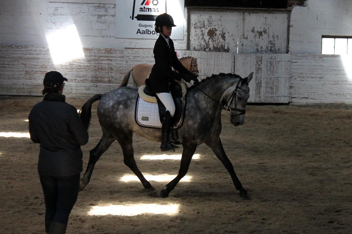 Grøvangs Jocelynn og Anne Frederiksen LB dressur | 30/05-2015 billede 24
