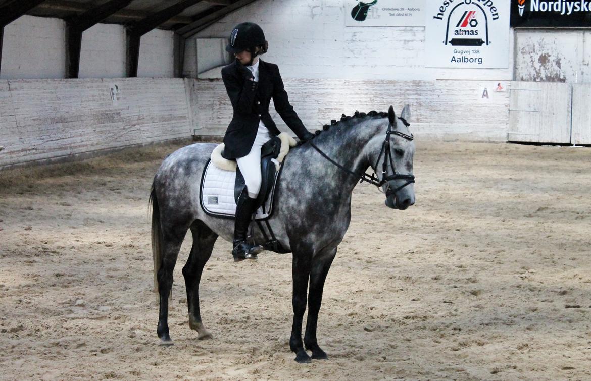 Grøvangs Jocelynn og Anne Frederiksen LB dressur | 30/05-2015 billede 32