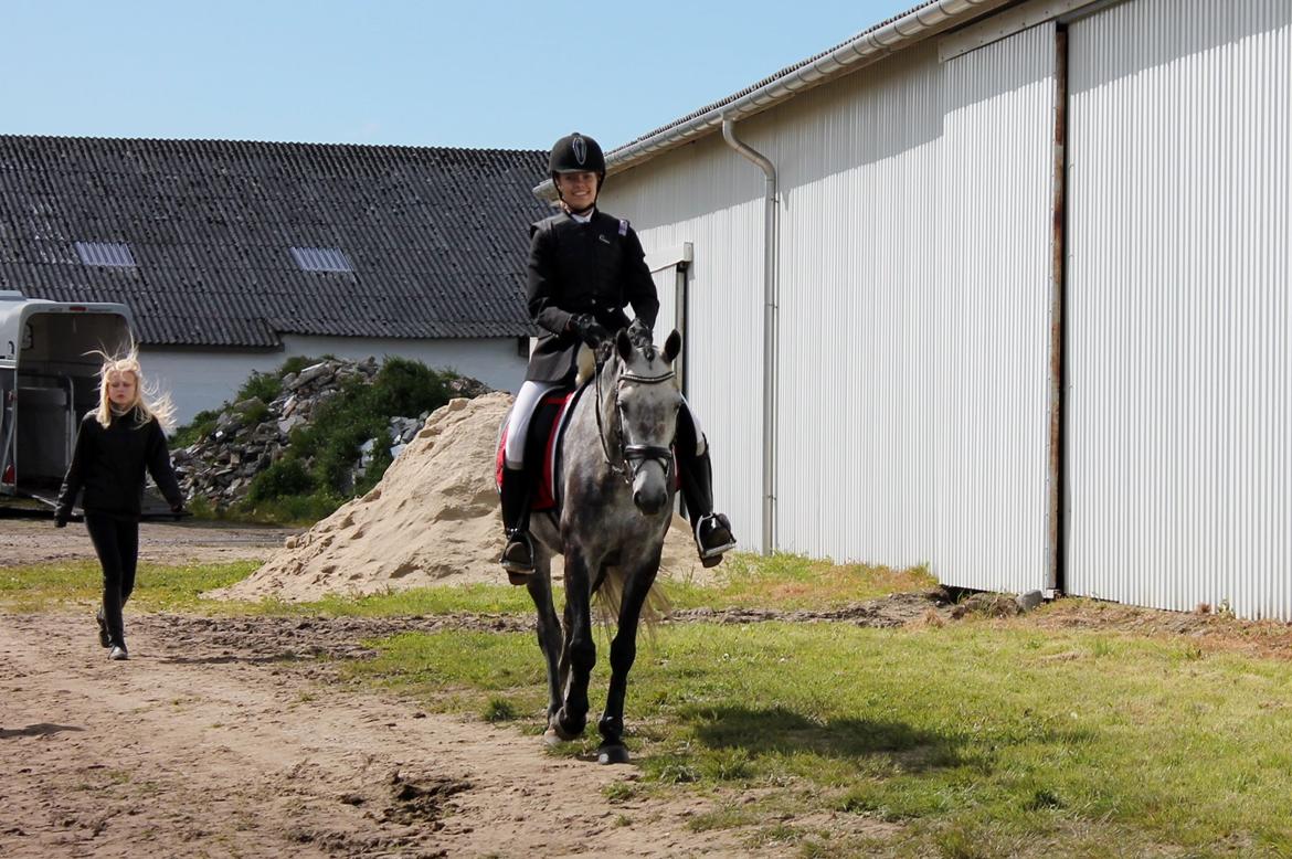 Grøvangs Jocelynn og Anne Frederiksen LB dressur | 30/05-2015 billede 35