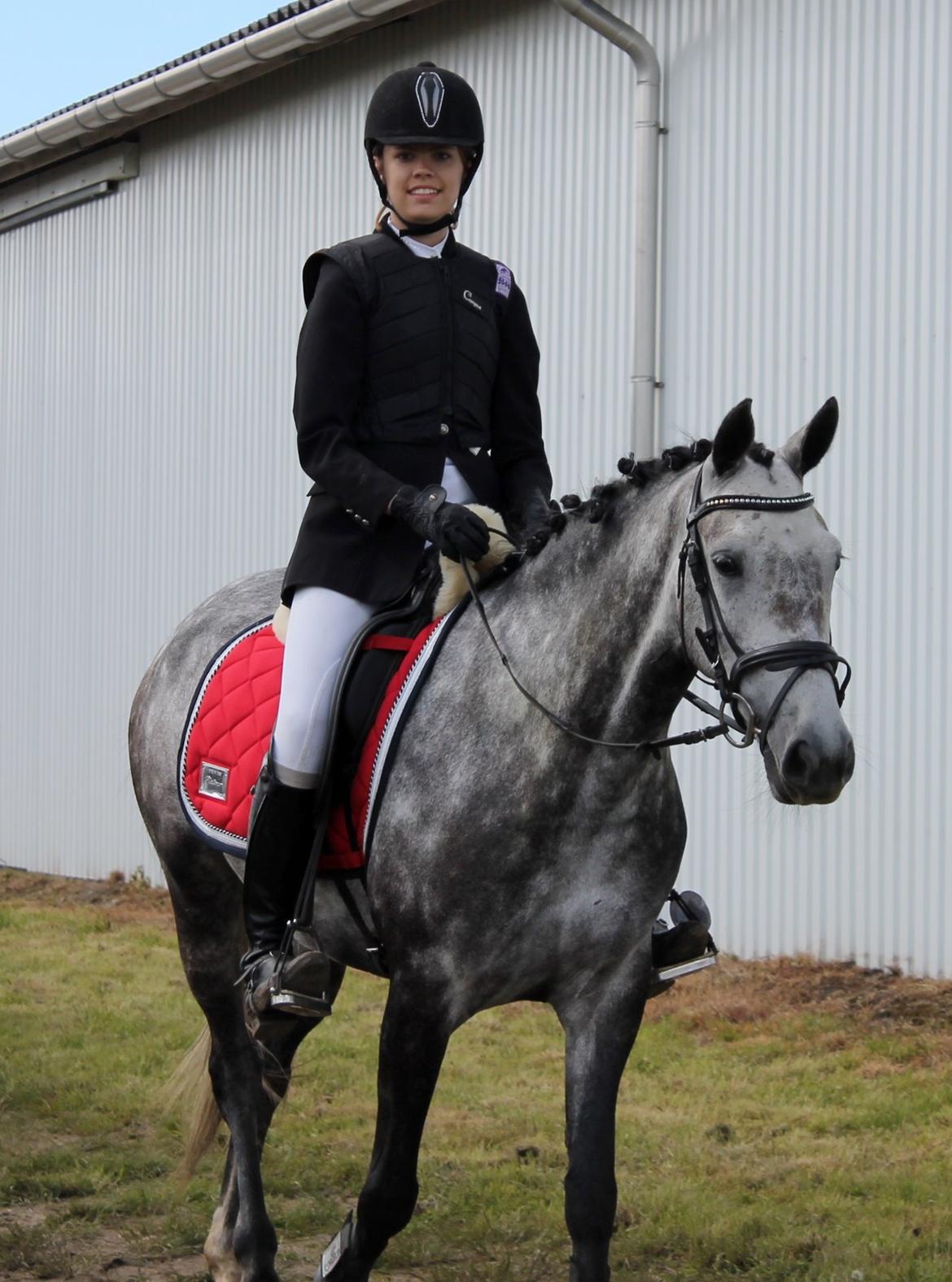 Grøvangs Jocelynn og Anne Frederiksen LB dressur | 30/05-2015 billede 36