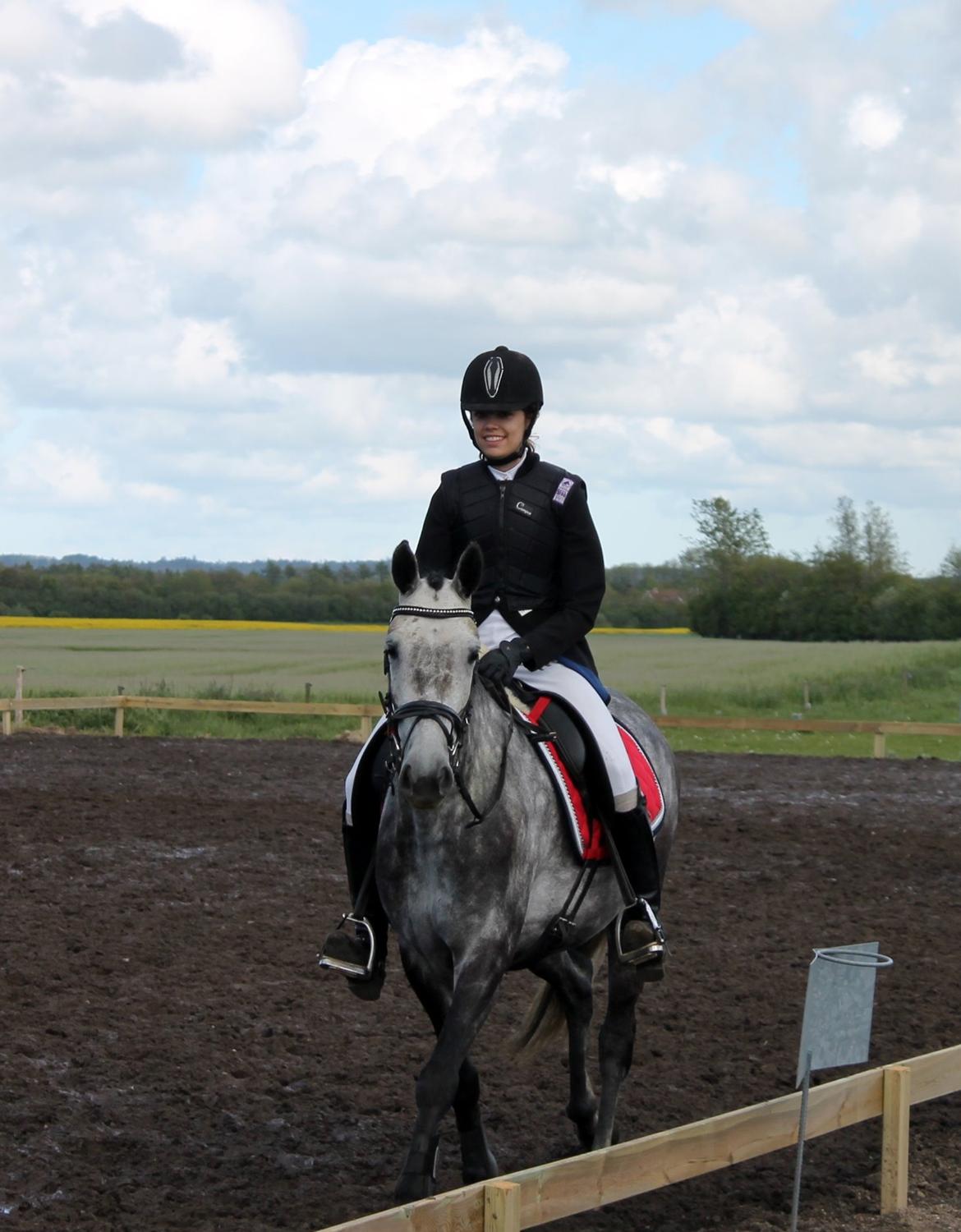 Grøvangs Jocelynn og Anne Frederiksen LB dressur | 30/05-2015 billede 37