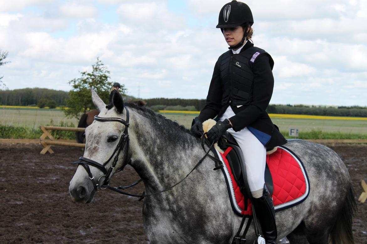 Grøvangs Jocelynn og Anne Frederiksen LB dressur | 30/05-2015 billede 38