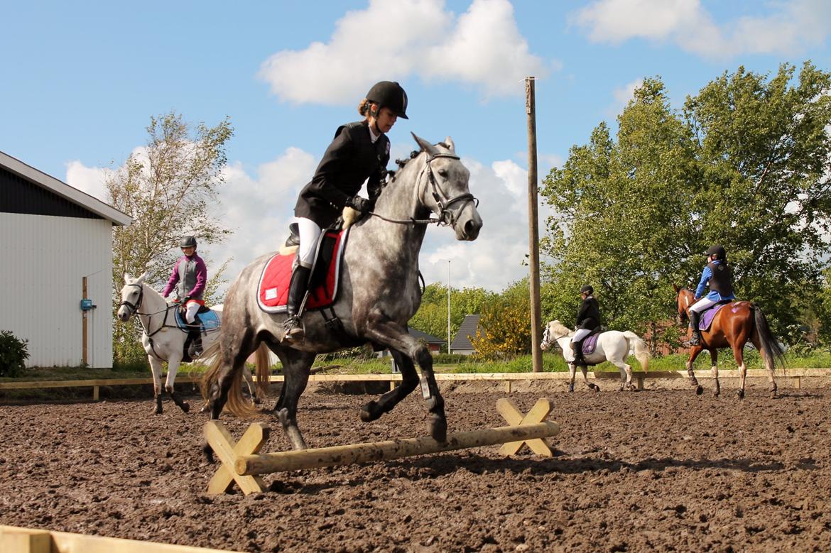 Grøvangs Jocelynn og Anne Frederiksen LB dressur | 30/05-2015 billede 58