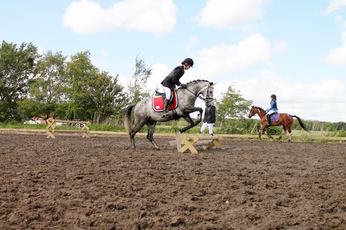 Grøvangs Jocelynn og Anne Frederiksen LB dressur | 30/05-2015 billede 61