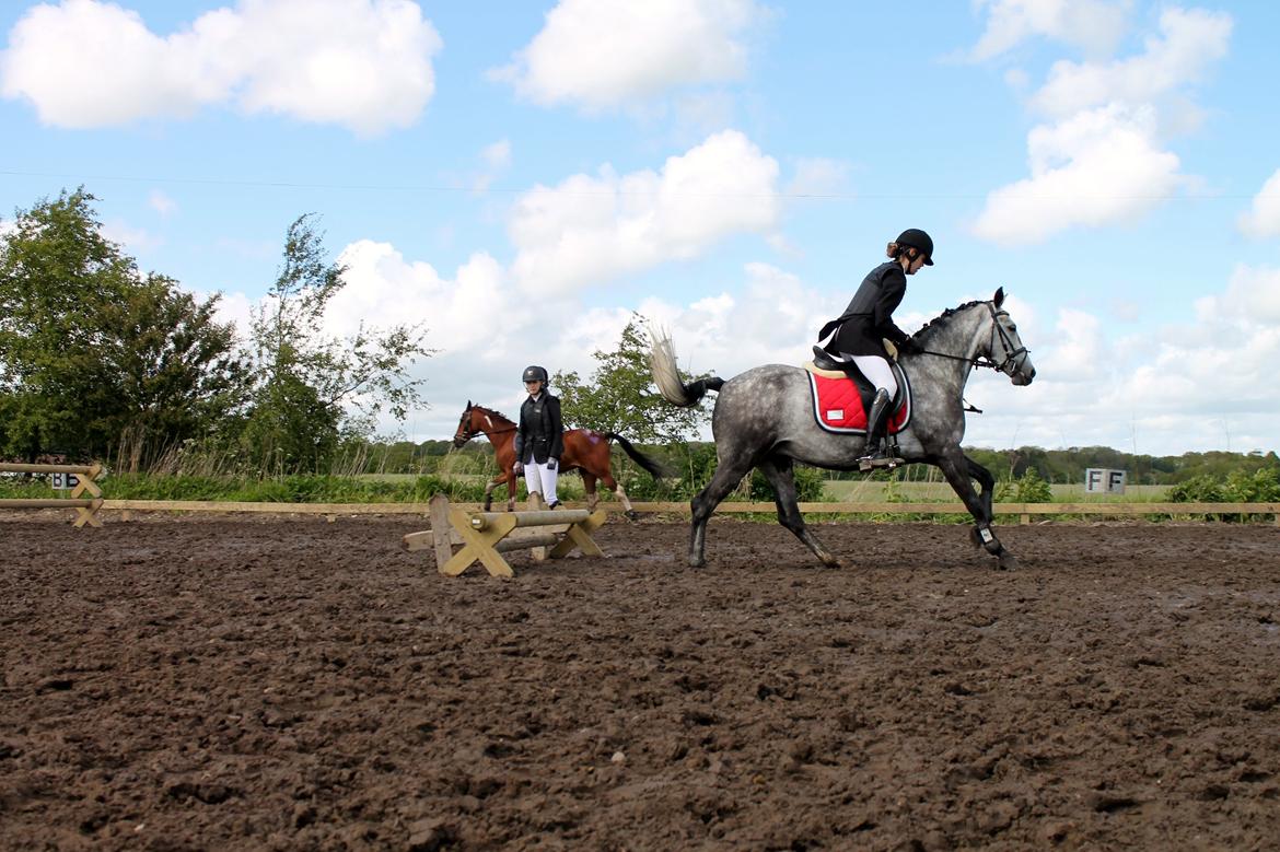 Grøvangs Jocelynn og Anne Frederiksen LB dressur | 30/05-2015 billede 62