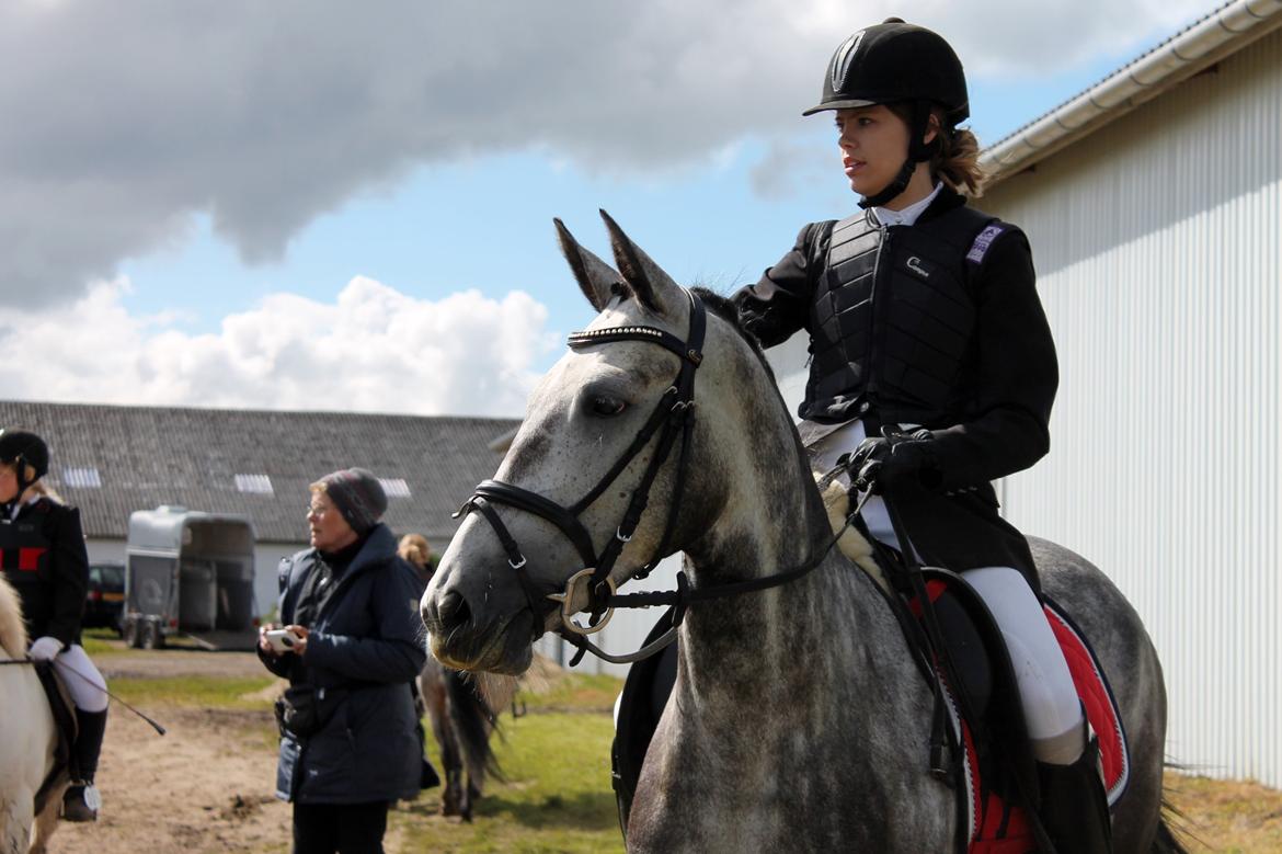 Grøvangs Jocelynn og Anne Frederiksen LB dressur | 30/05-2015 billede 73