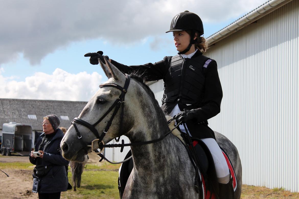 Grøvangs Jocelynn og Anne Frederiksen LB dressur | 30/05-2015 billede 74