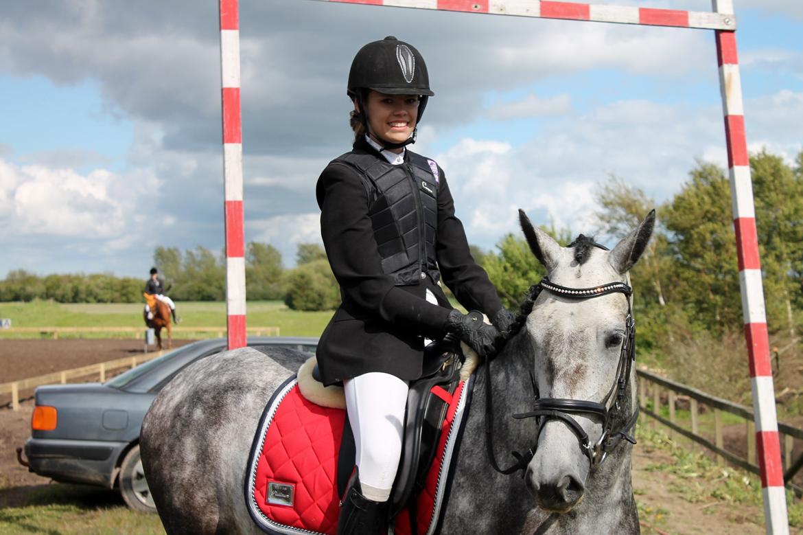 Grøvangs Jocelynn og Anne Frederiksen LB dressur | 30/05-2015 billede 75